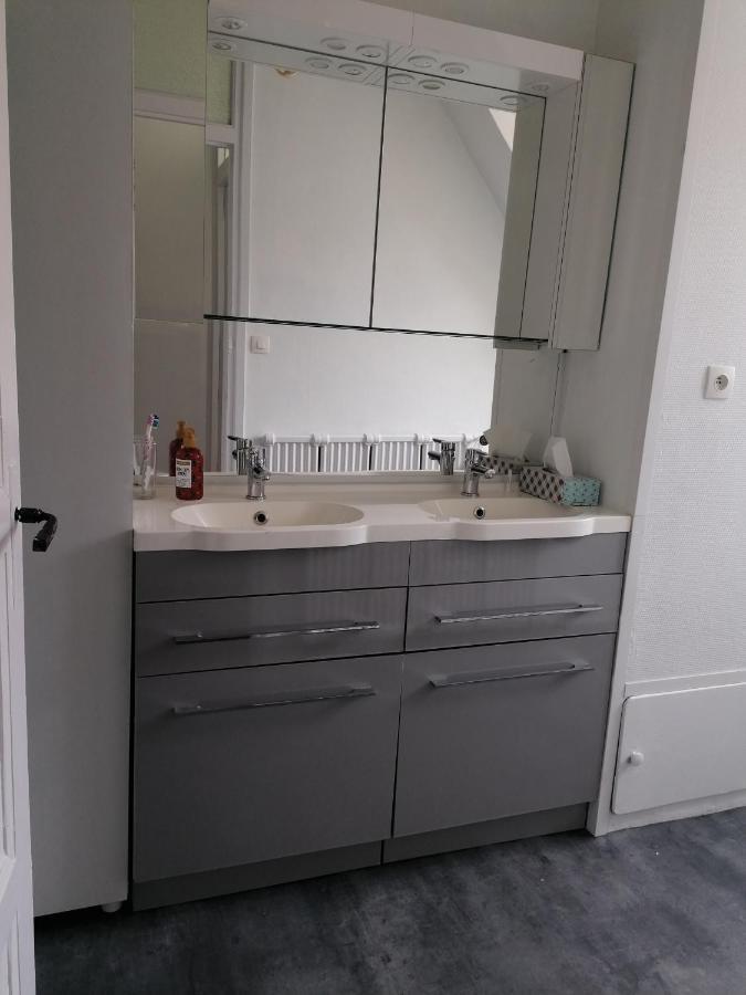 Appartement 85 M2 Centre-Ville Entierement Renove Le Creusot Eksteriør billede
